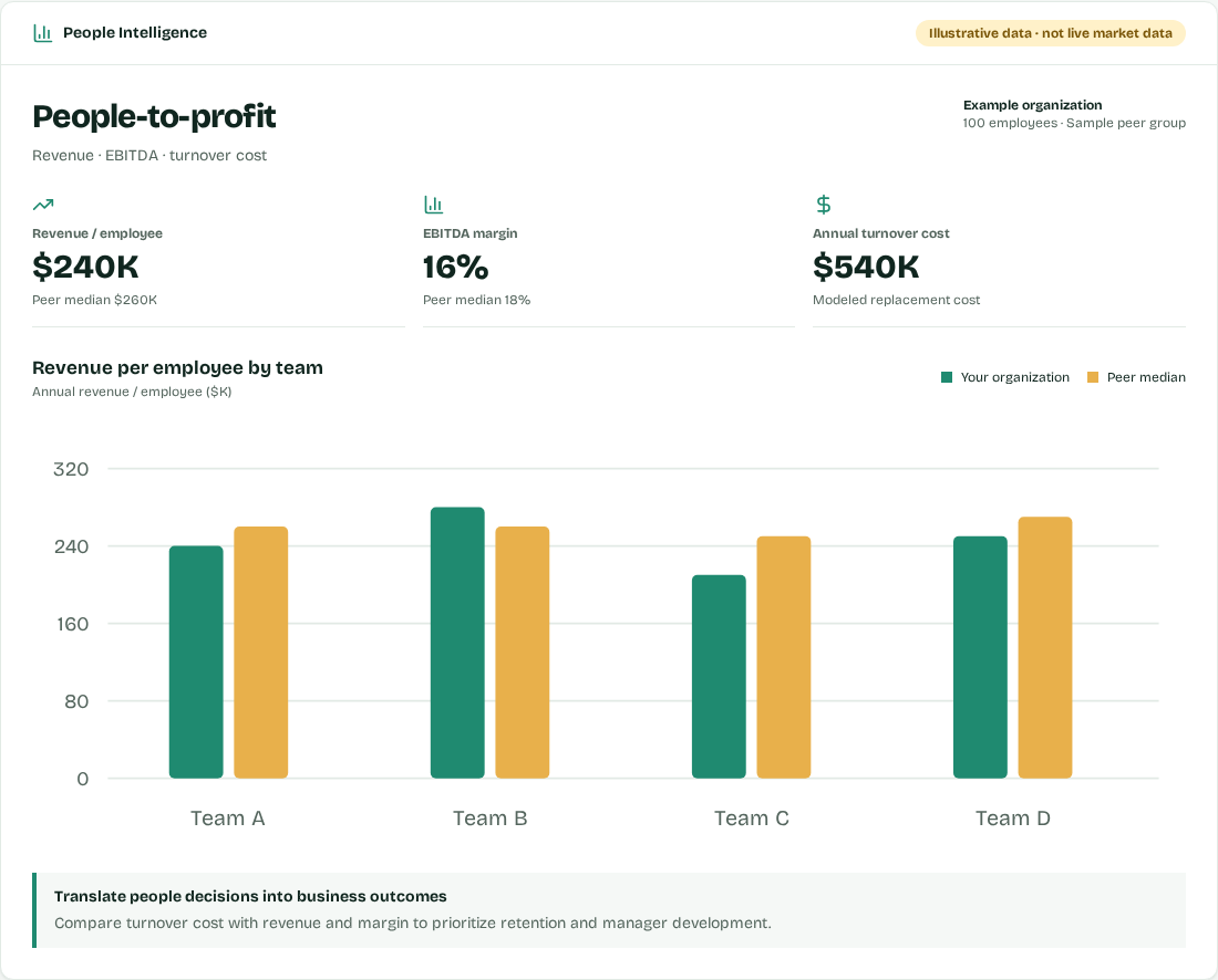 Screenshot of the example profitability dashboard with revenue per employee, EBITDA margin, and turnover cost